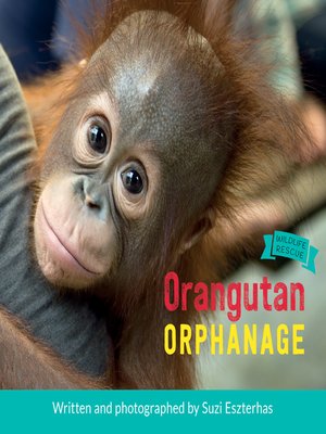 cover image of Orangutan Orphanage